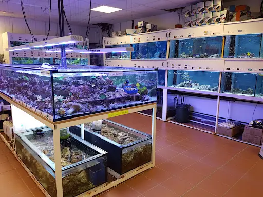 H2o Aquarium et Bassin