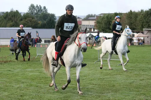 Centre Equestre les Ecuries des Couleurs