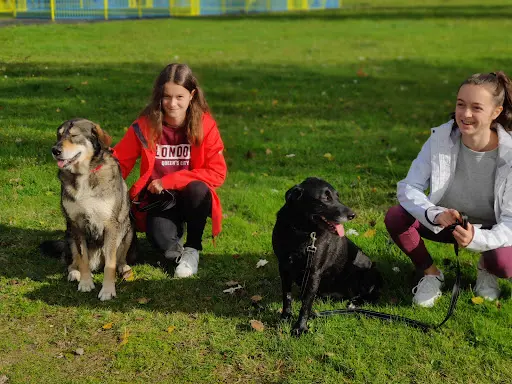 Eduka Chien: Éducateur Canin A Domicile et sur Terrain, Pour Toutes Races et Âges 44/49