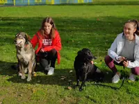Eduka Chien: Éducateur Canin A Domicile et sur Terrain, Pour Toutes Races et Âges 44/49