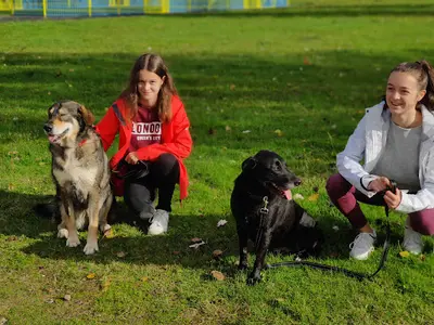 Eduka Chien: Éducateur Canin A Domicile et sur Terrain, Pour Toutes Races et Âges 44/49