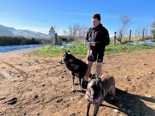 Db Dogs - Education Canine et Pension en Meute