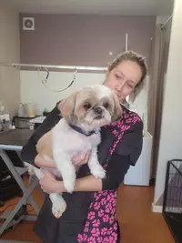 Allo Dogo
