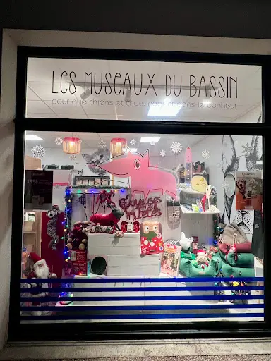 Les Museaux du Bassin