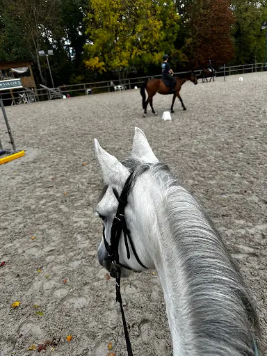 Ecole Equitation de la Forêt
