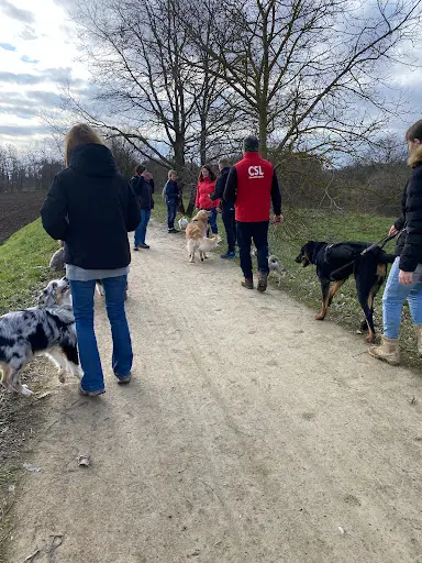 Mon Chien Mon Ami Sarl Centre du Bien-être Animalier