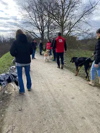 Mon Chien Mon Ami Sarl Centre du Bien-être Animalier