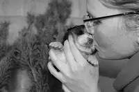 Phoenix d'An Argoat: Pension Canine et Elevage Barf Berger Australien