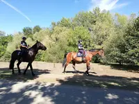 Lac de Maine Equitation