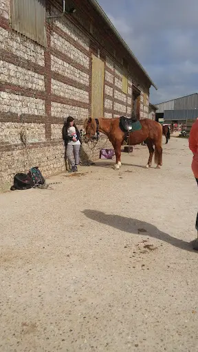 Centre Equestre Elevage du Loir