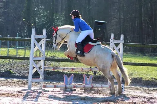 Poney Club des Hellandes Angerville l'Orcher