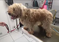 La Cabotière