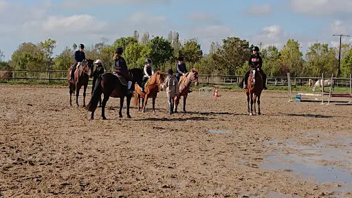 Club Hippique des Alizés
