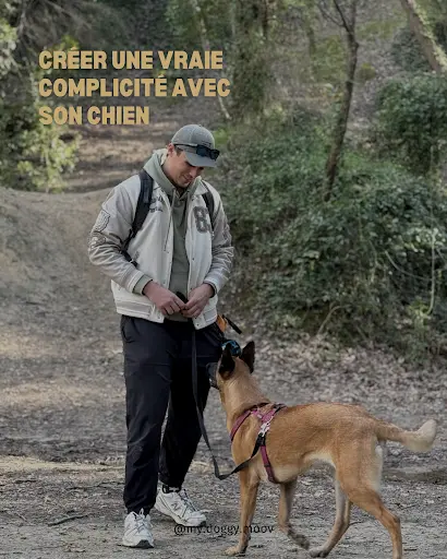 Alex - My Doggy Moov - Educateur Comportementaliste Canin