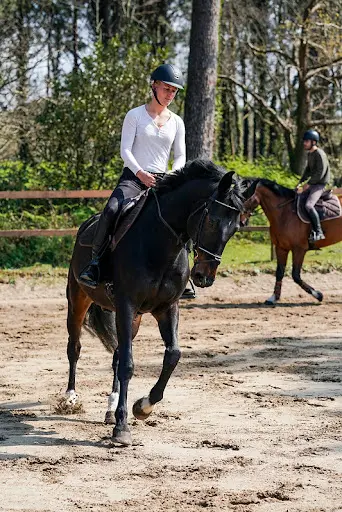 Club Hippique Côte Basque