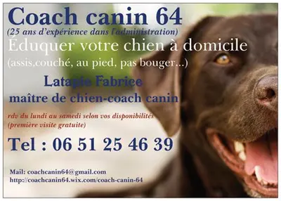 Coachcanin64