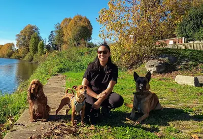Passion Meute - Éducateur Canin et Comportementaliste & Pet Sitter Bayonne, Pays Basque