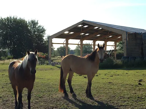 Le Ranch de la Vache Bleue