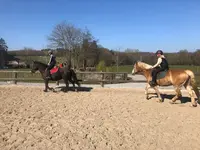 Le Haras de la Neuve Forge