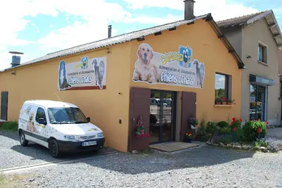 Canaldog Anse