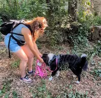 Canifriendly 06 - Éducatrice et Comportementaliste Canine Certifiée