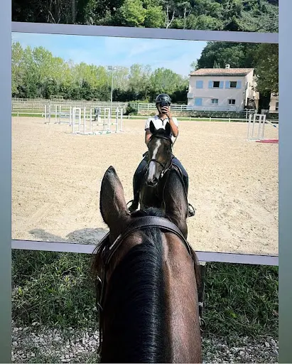 Cdc Stables