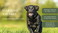 Comportementaliste Canin - Serenitydog Antibes