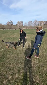 My Gentledog – Éducateur Canin Comportementaliste Antibes
