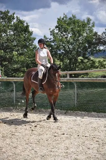 Haras du Châtelet