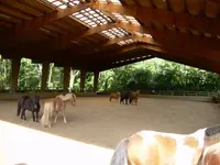 Club Equestre d'Antony