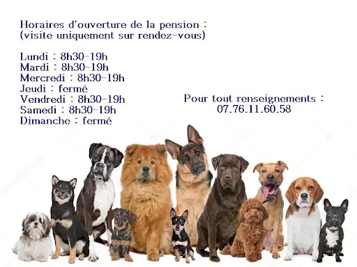 Pension Canine d'Aoste