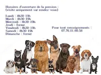 Pension Canine d'Aoste