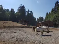 Centre d'Équitation Naturelle - Cheval des Cimes