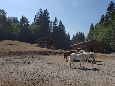 Centre d'Équitation Naturelle - Cheval des Cimes
