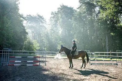 Centre Équestre Arbonne Équitation