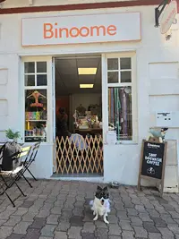 Binoome - Magasin Pour Chiens et Toiletteur À Arcachon