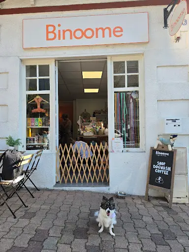Binoome - Magasin Pour Chiens et Toiletteur À Arcachon