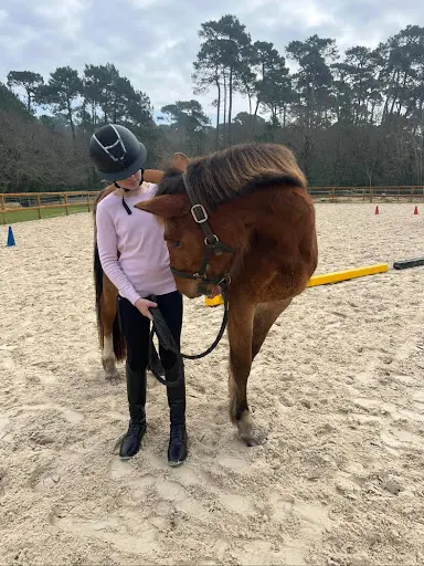 Centre Equestre d'Arcachon