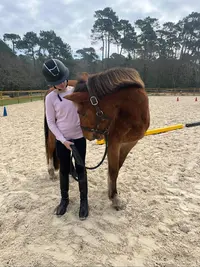 Centre Equestre d'Arcachon