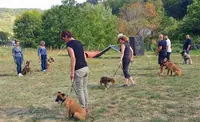Educateur Canin Arcachon Respectdogs