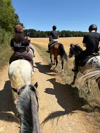 Centre Equestre de la Vignotte