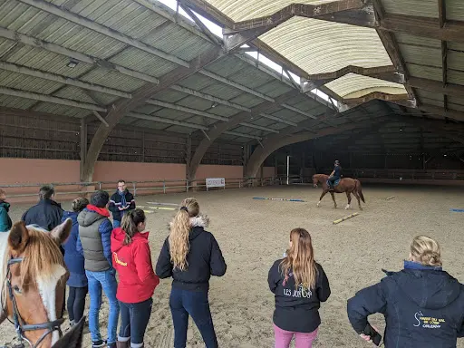 Formation Locomotion du Cheval