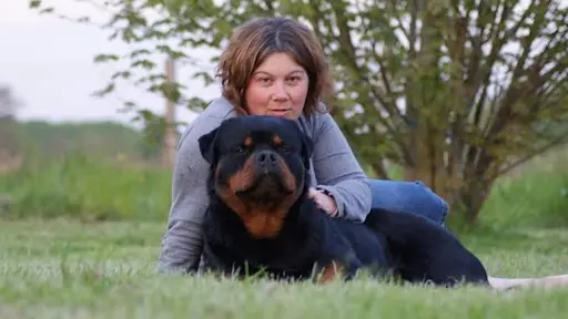 Engel Schwarz, Élevage de Rottweilers Lof