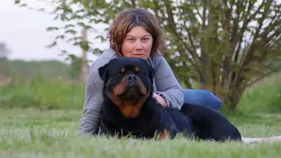 Engel Schwarz, Élevage de Rottweilers Lof