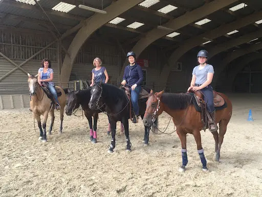 Quarter Horse Dream