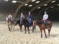 Quarter Horse Dream