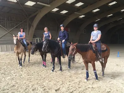 Quarter Horse Dream