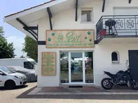 Pil-poil