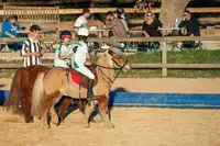 Mas de Cournon