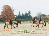 Centre Équestre du Mesnil d'Argences